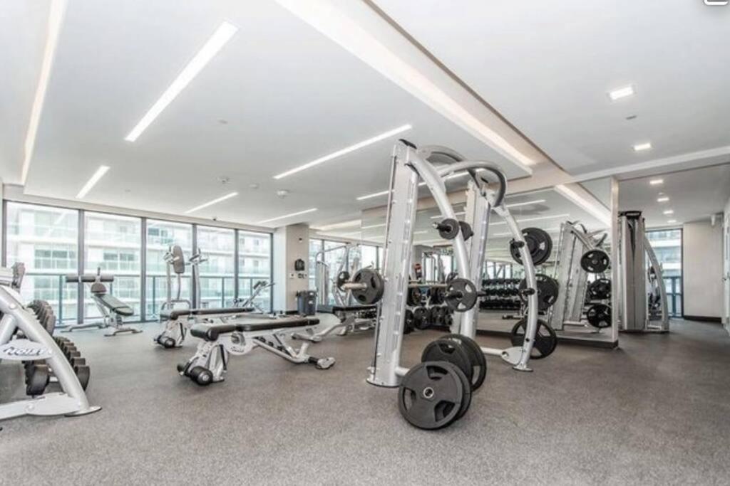 Spacious By Close To Pearson Airport, Free Parking! Apartment *