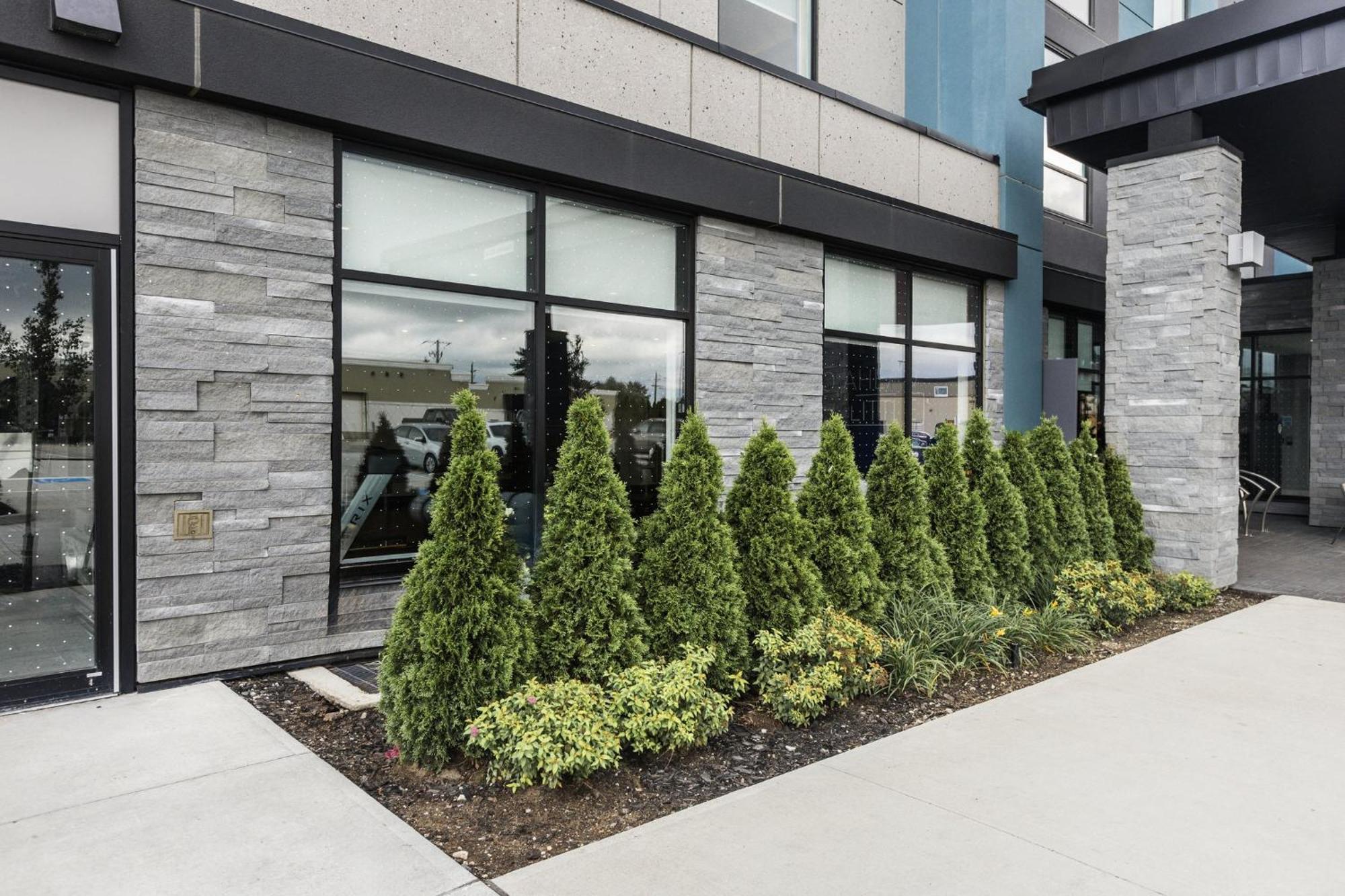 Express & - Airport South By Ihg Toronto