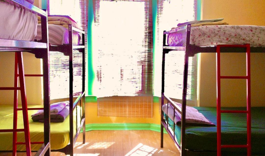 The Only Backpacker's (adults Only) 2*