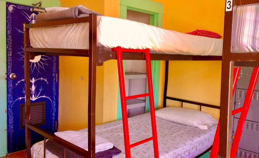 The Only Backpacker's (adults Only) 2*