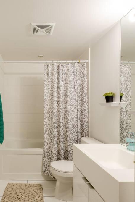 Stylish Downtown Lakeview - One Free Parking Apartment