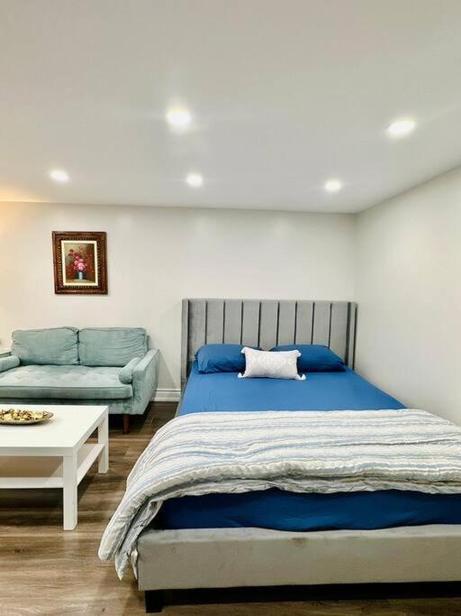 Cozy Studio Bsmt In Scarborough Central