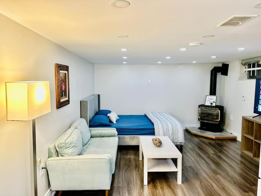 Apartment Cozy Studio Bsmt In Scarborough Central
