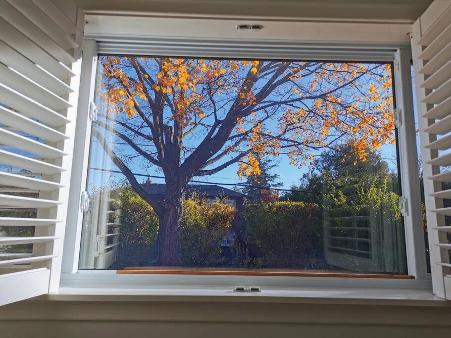 Wishing Well 2-bedrooms Cozy Toronto
