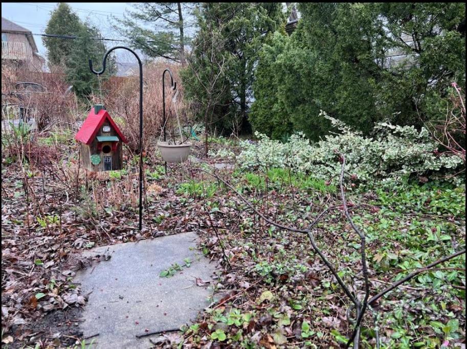 Retro Private Near Finch, Retro House, Wi-fi Homestay Toronto