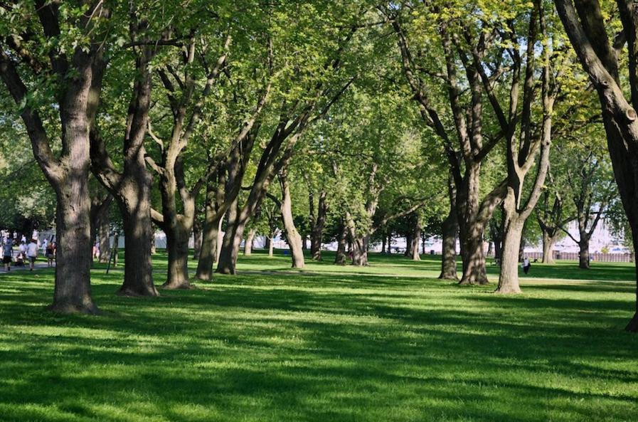 Apartment Modern 2br Downtown Condo, Lakeshore, Exhibition Place, York Toronto