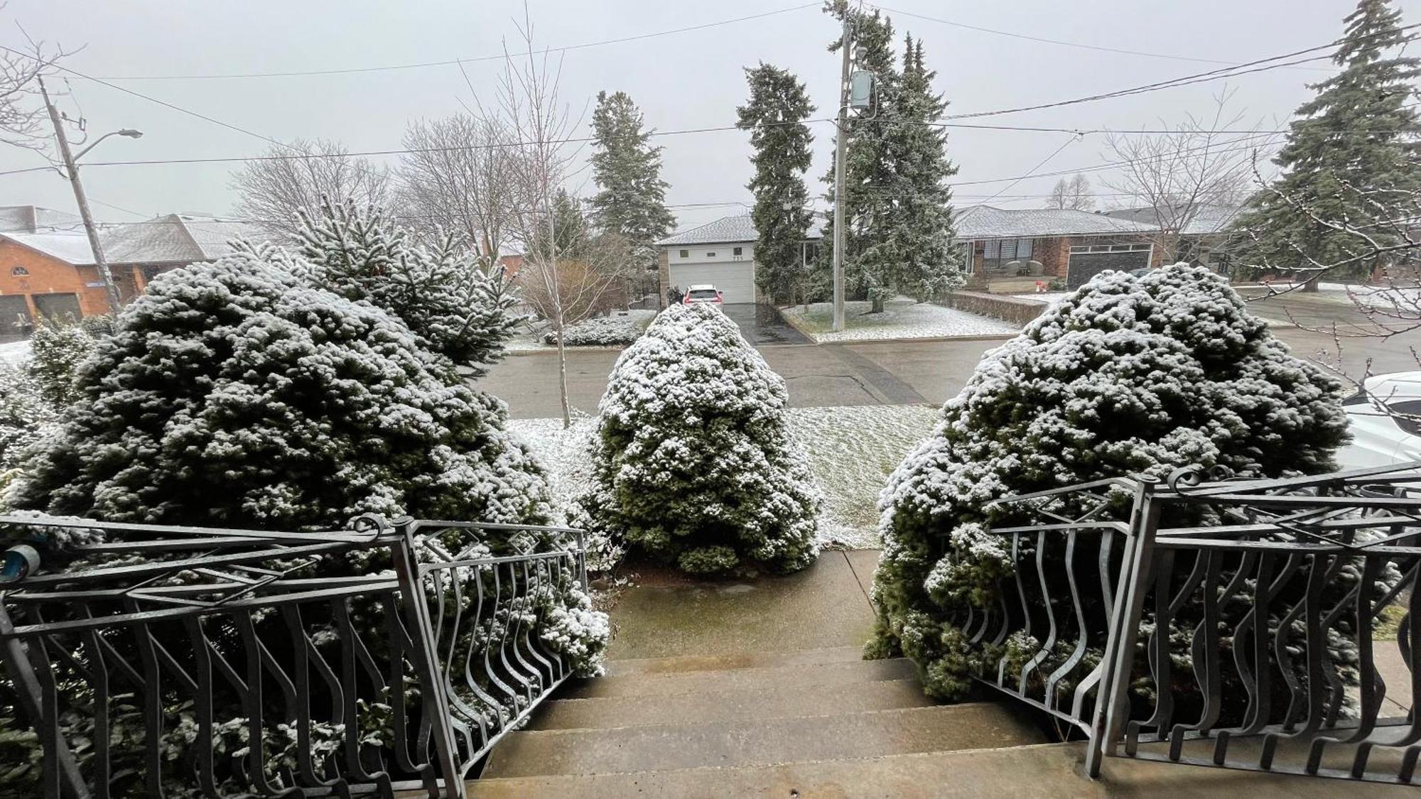 Glengrove Cozy Toronto