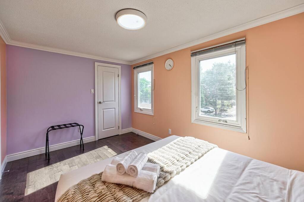 Apartment 4br Scarborough Gem, Freshly Renovated, 7 Car Parking *