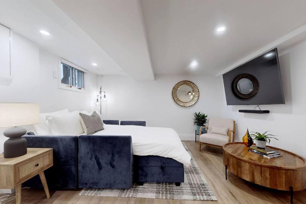 Fresh And Modern Guest *
