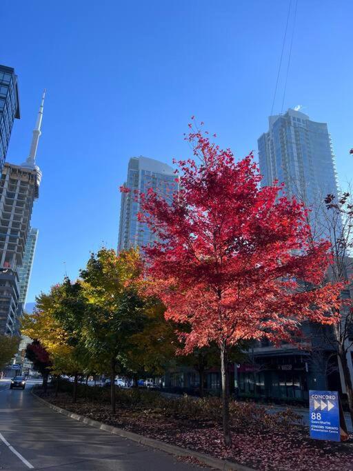 Sky Living Awesome Lake And City View Apartment Toronto