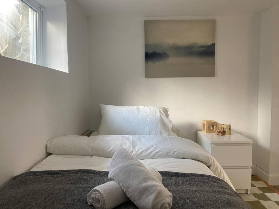 Entire Place In Downtown 2 Bedroom Basement Toronto