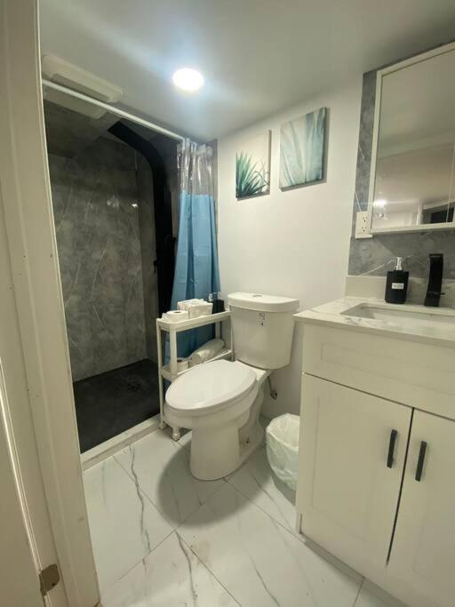 Apartment Entire Place In Downtown 2 Bedroom Basement