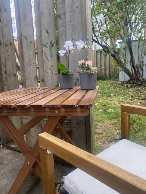 Entire Place In Downtown 2 Bedroom Basement Apartment Toronto