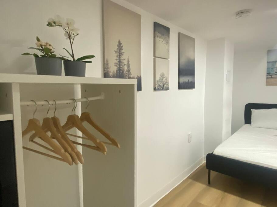 Apartment Entire Place In Downtown 2 Bedroom Basement Toronto