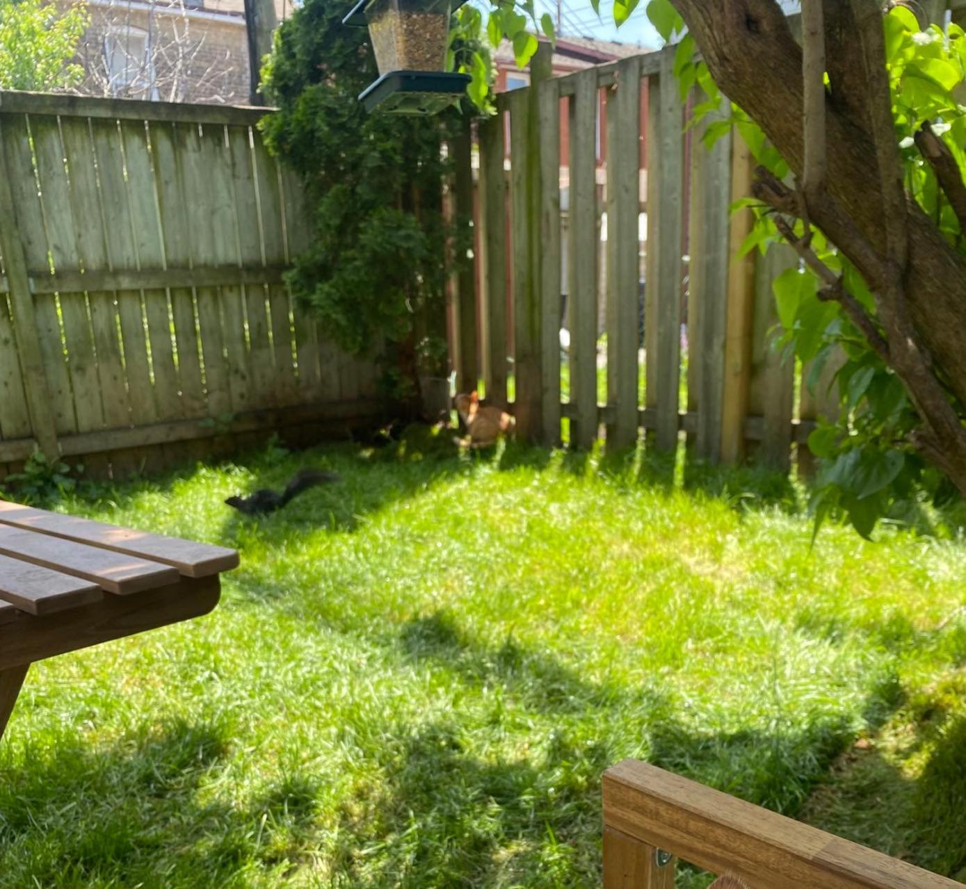Entire Place In Downtown 2 Bedroom Basement