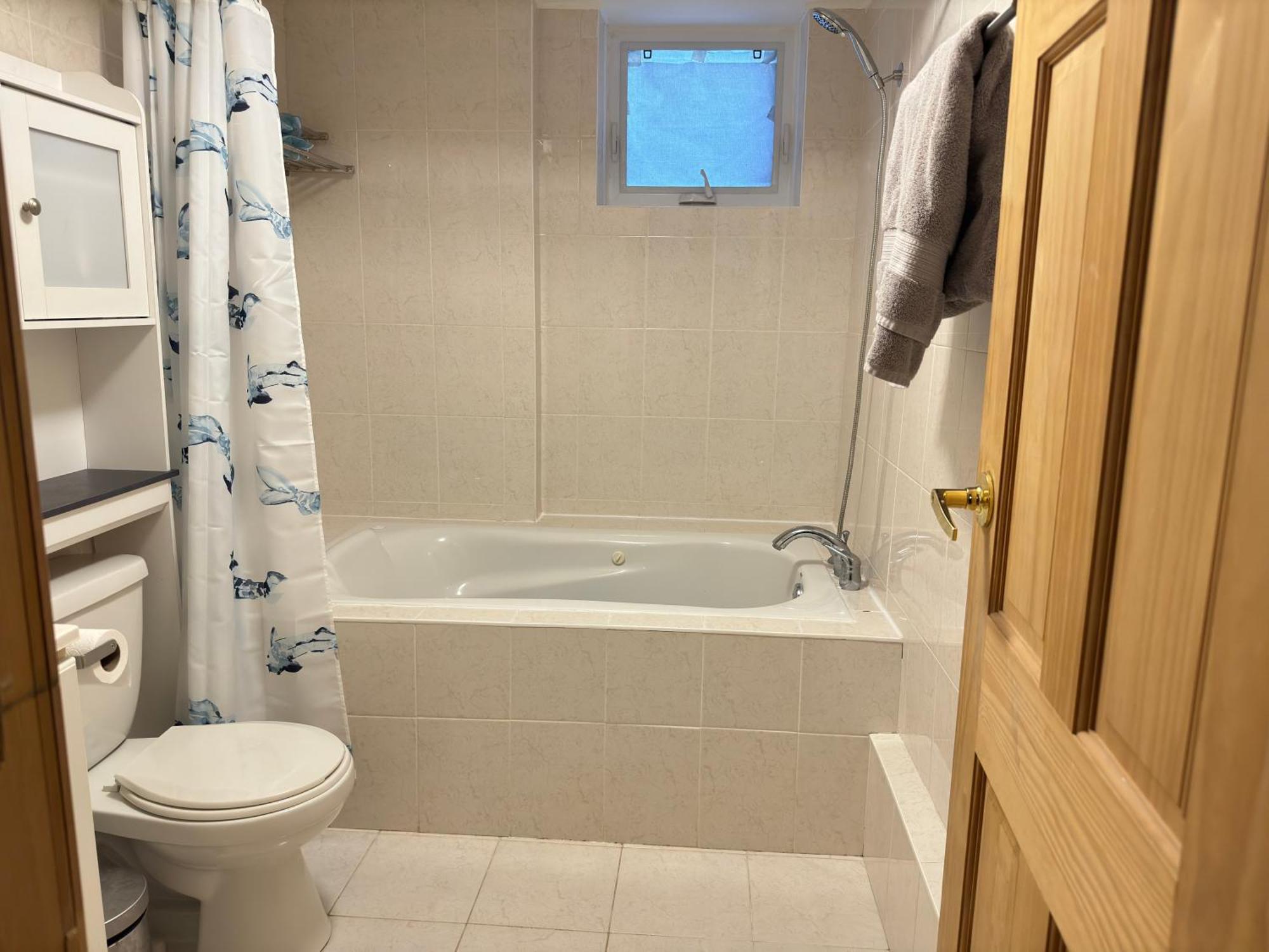 Villa 3 Bdr And Bsmt With Parking In Swansea High Park *