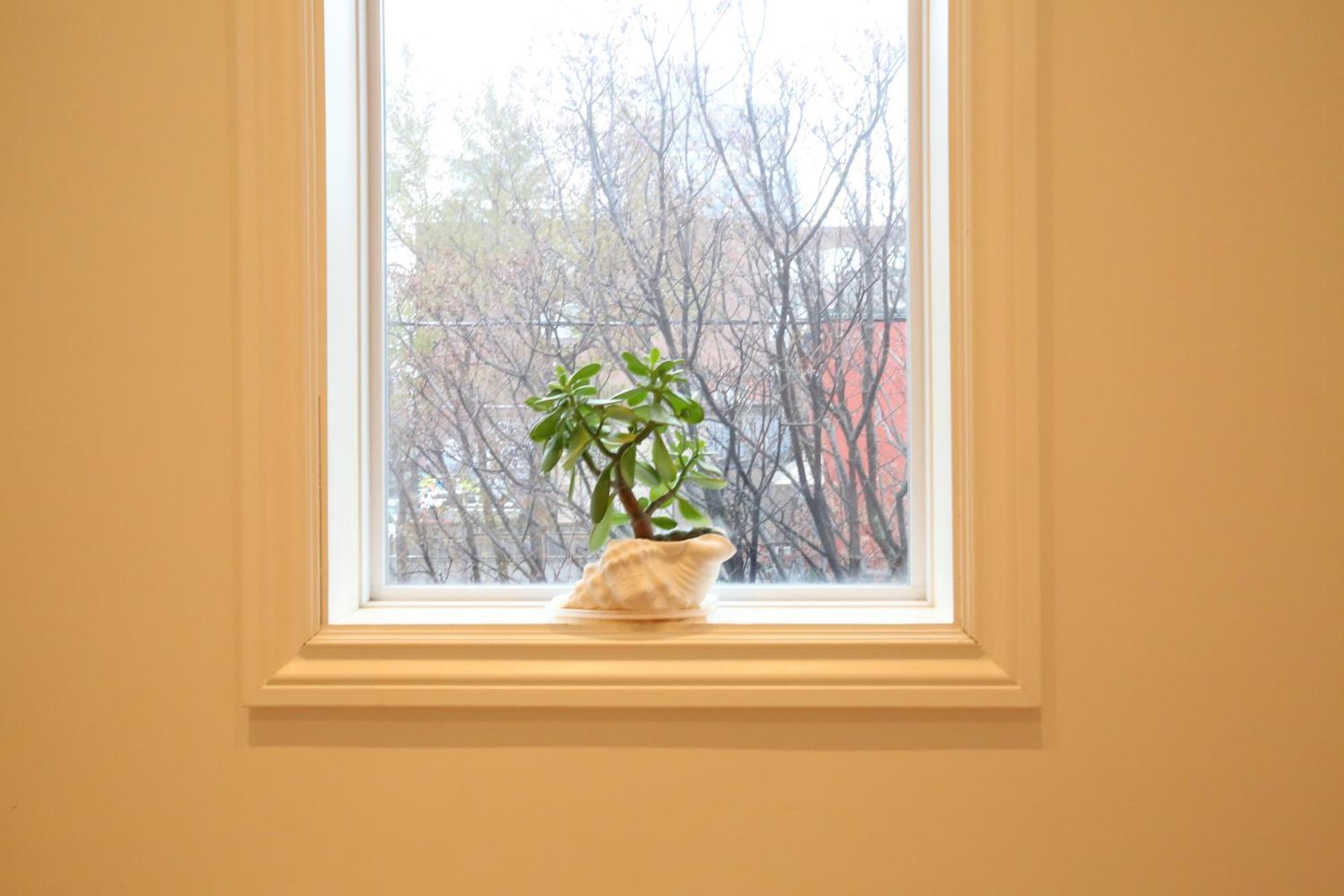 Xiao Wang Toronto