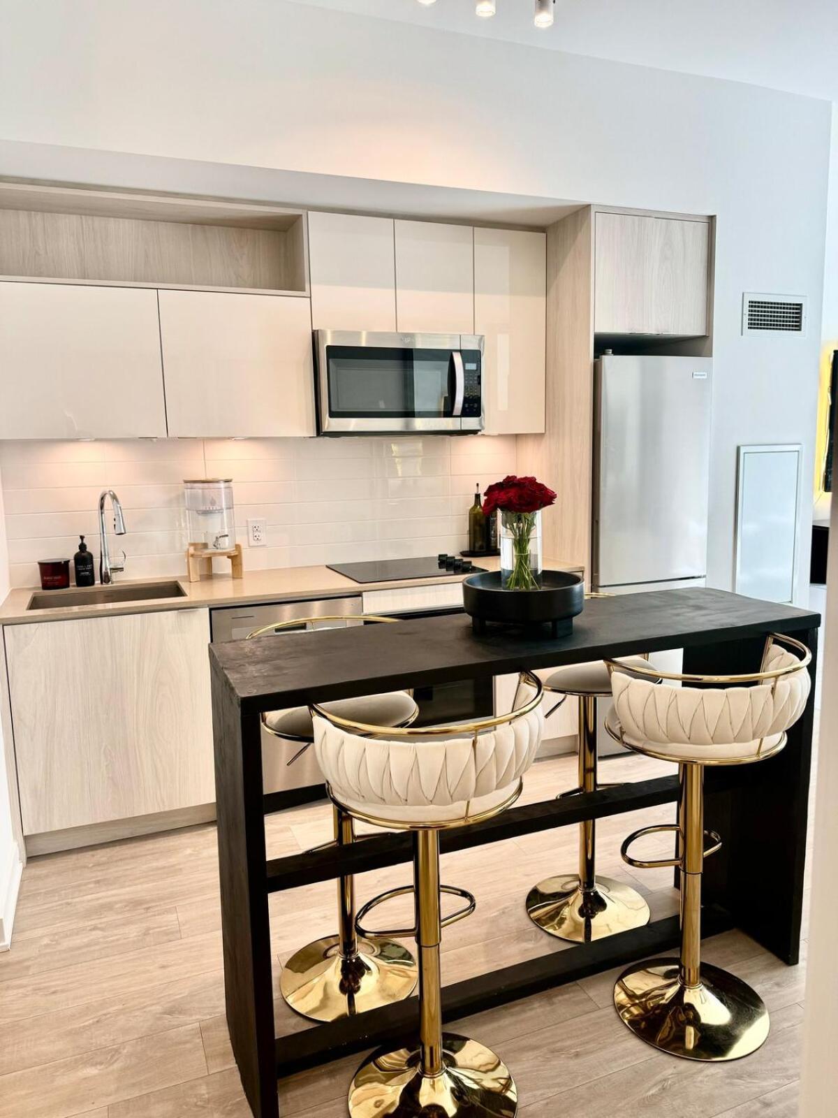 Downtown Core 2 Bed 2 Bath Apartment