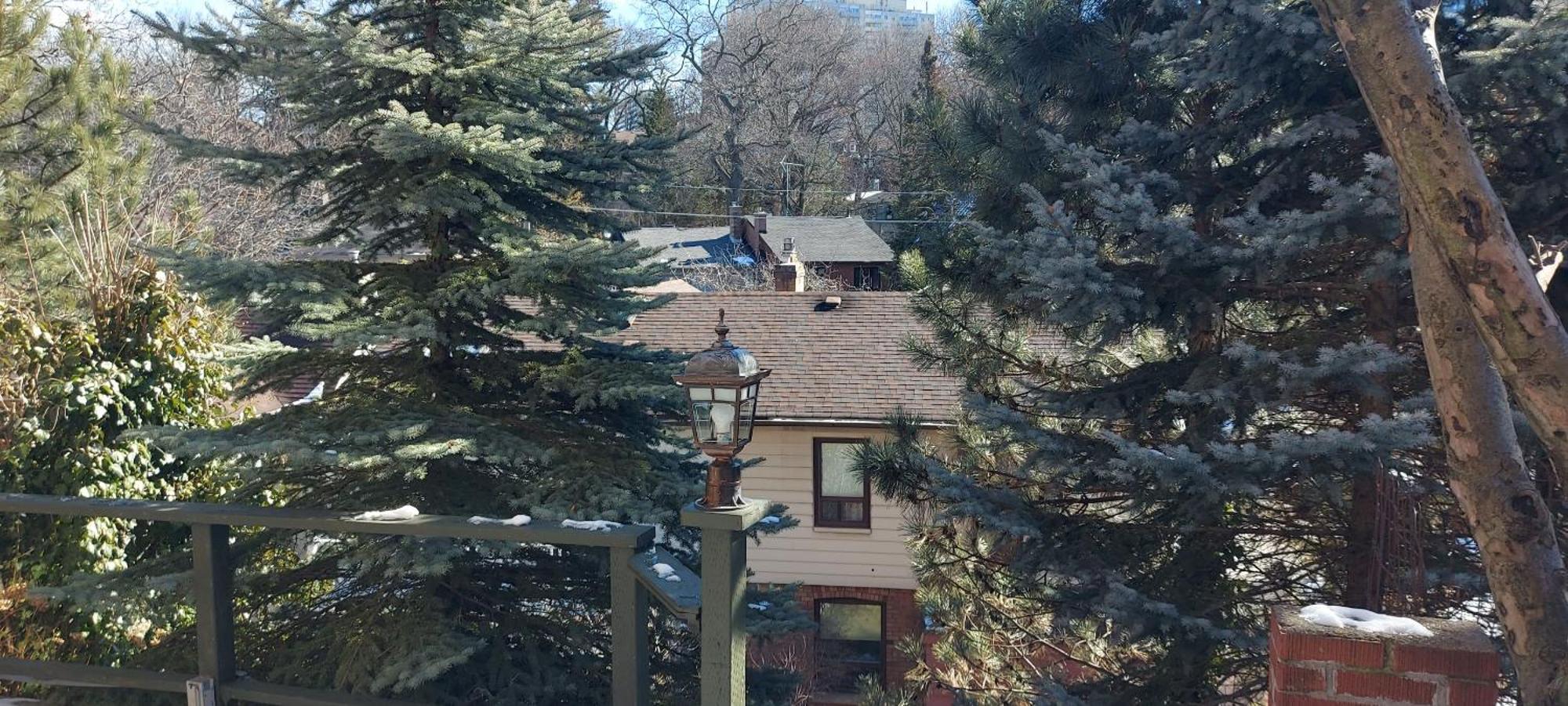 High Park Junior With Washroom And Kitchen Toronto
