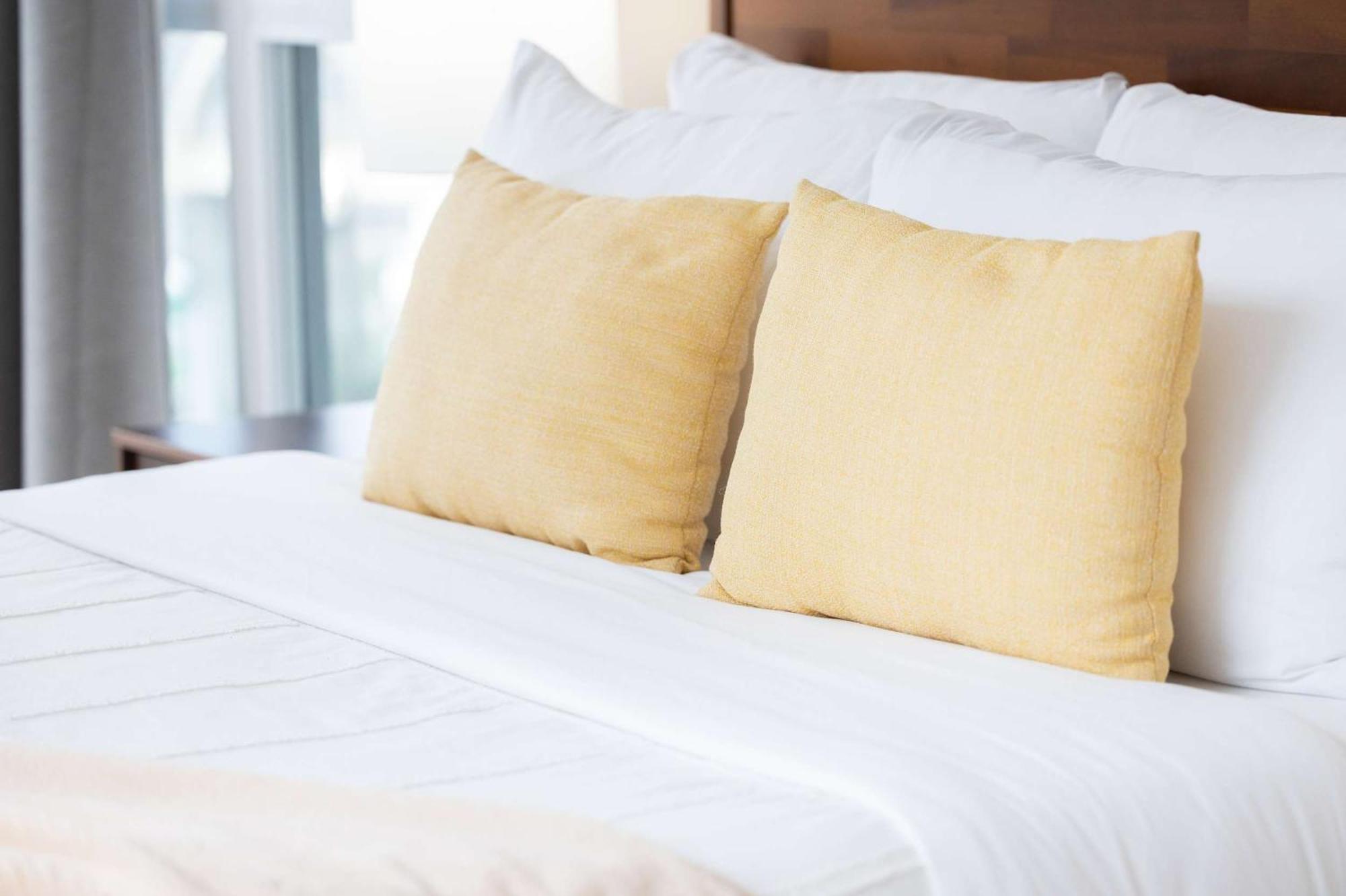 Gem Near The Rogers Centre & Attractions Apartment Toronto