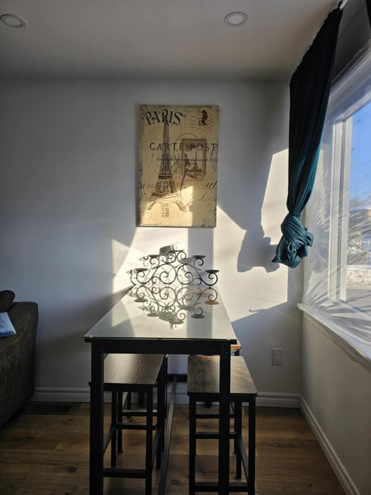 A Pet Lovers Paradise * Toronto