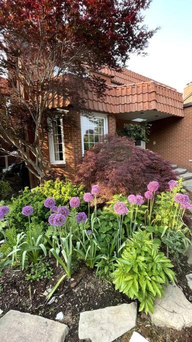 Apartment Serene Don River Nature Retreat- 2br Apartment, Private Patio, Free Breakfast & Parking *