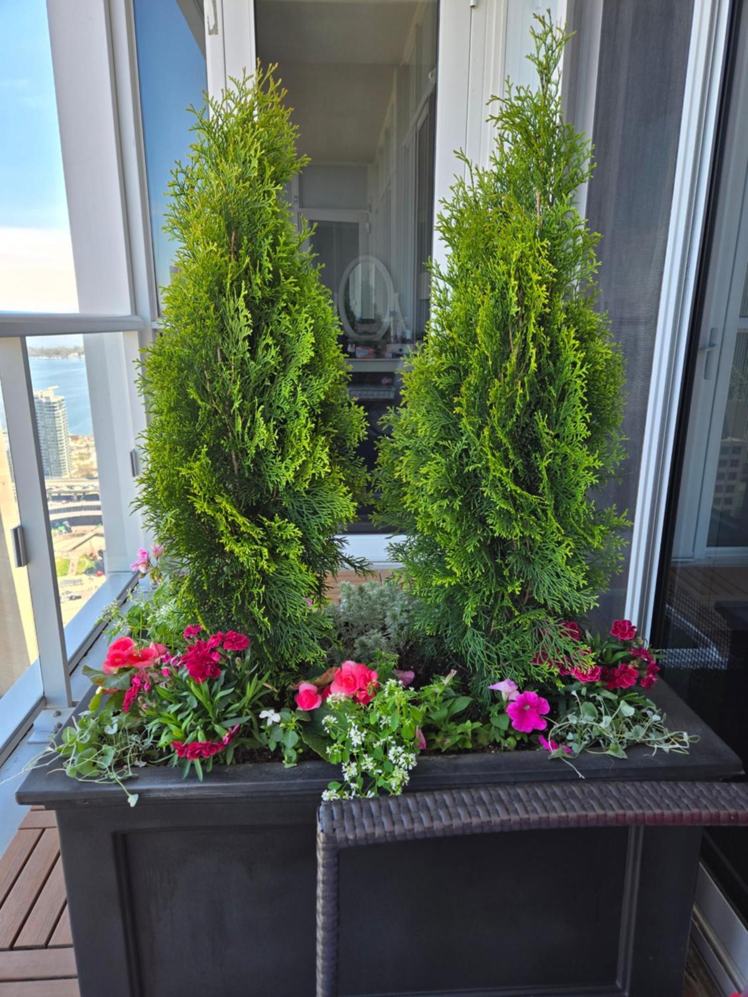 View Cn Tower And From The Sky! Apartment Toronto