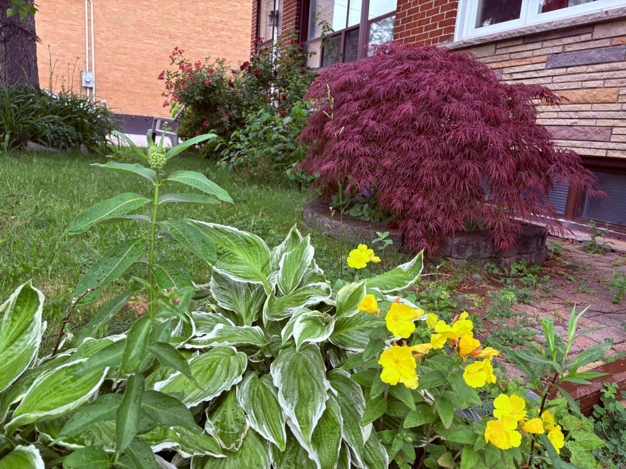 Homestay House - Near Rogers Stadium *