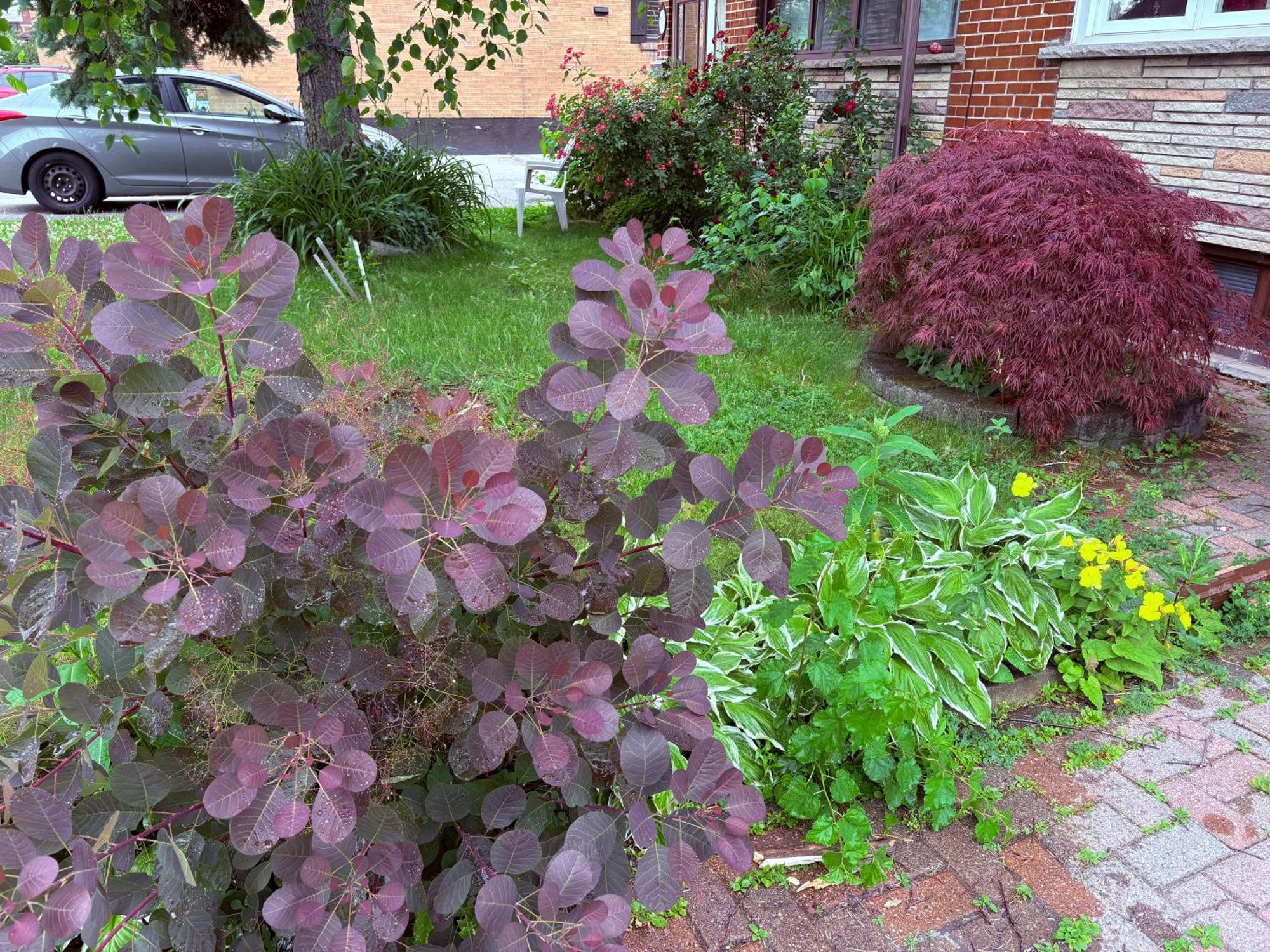 House - Near Rogers Stadium Toronto