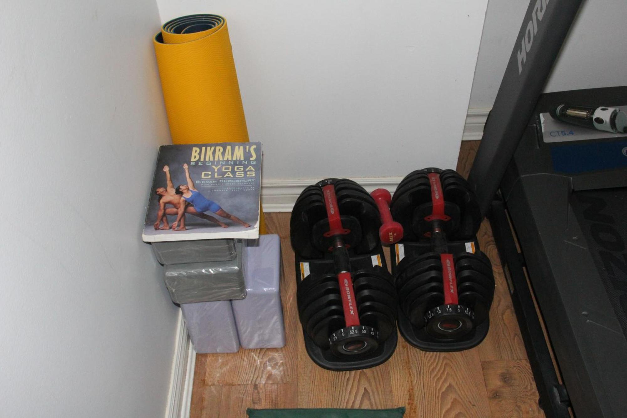 Serene Don River Nature Retreat- 2br Apartment, Private Patio, Free Breakfast & Parking *