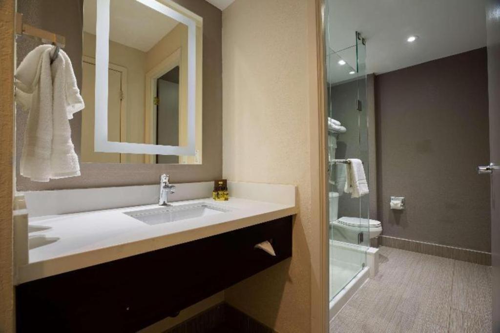 Western Executive Hotel 3*