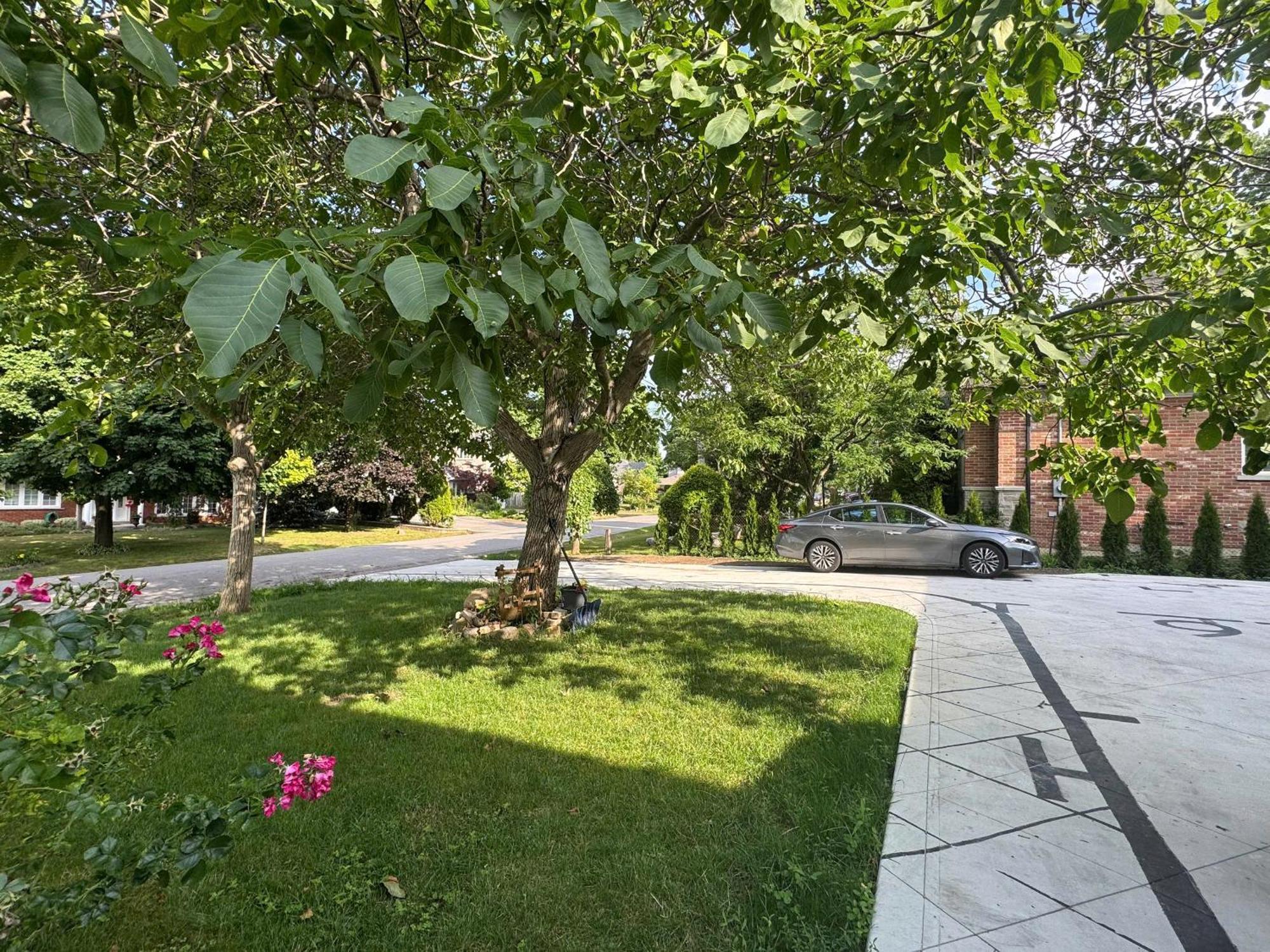 Spacious Room02, Airport, Free Pkg, Sep Entrance, New Reno, Shared Bathroom *