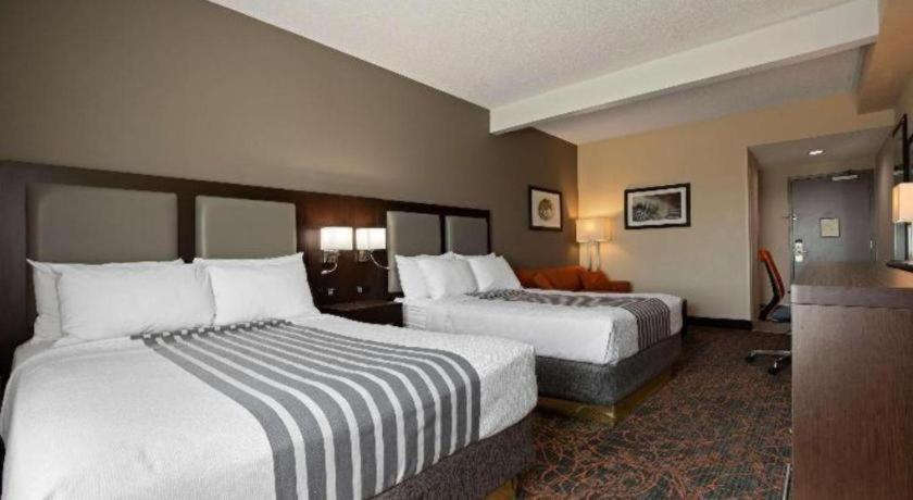 Western Executive Hotel 3*