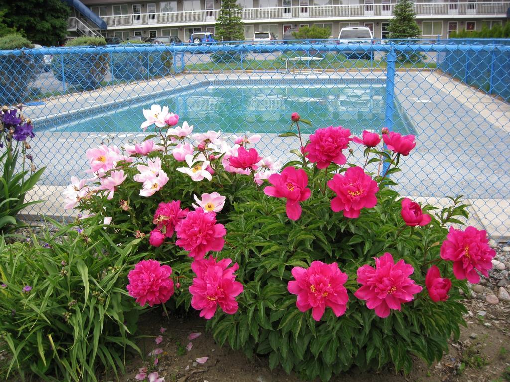 Grand Motel Toronto
