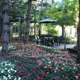 Plaza Airport Hotel Toronto