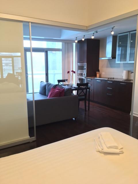 Condo Downtown, Cn Tower, Financial District Apartment
