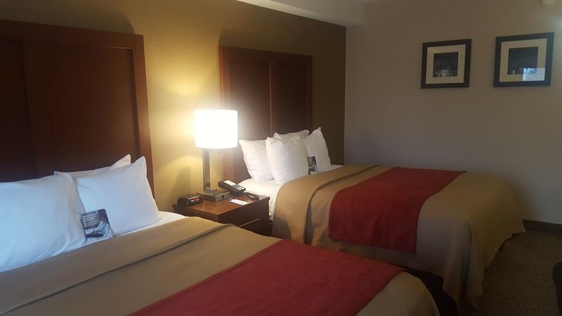 Comfort North Hotel Toronto
