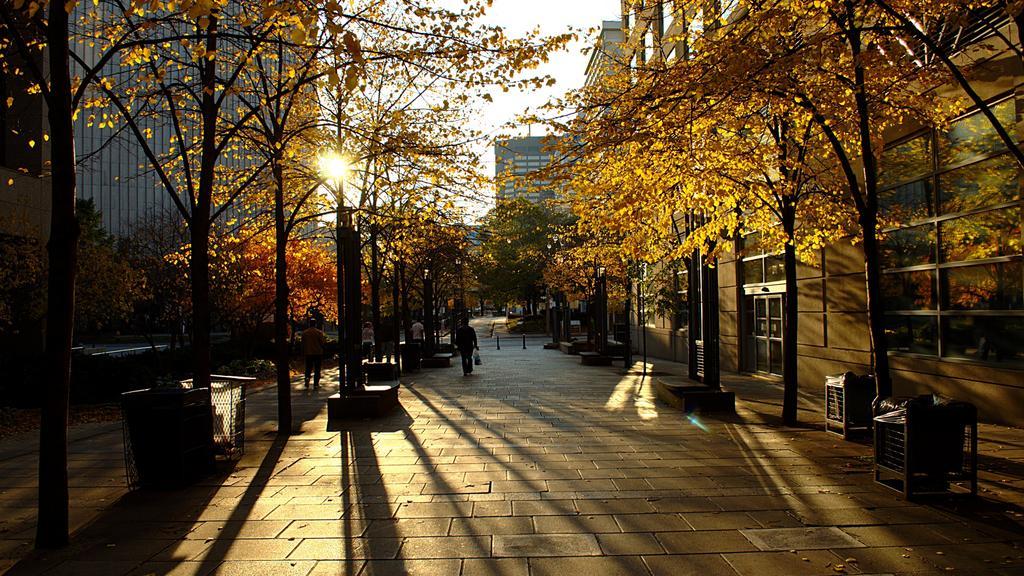 Downtown