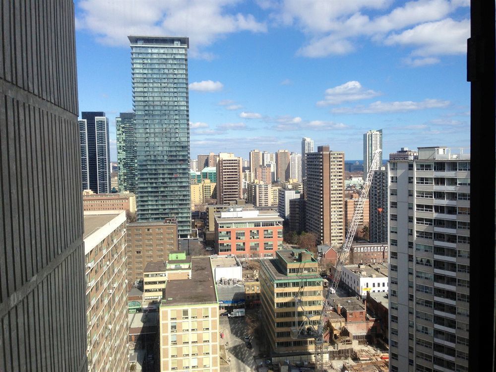 Furnished Living - Bay Street Apartment
