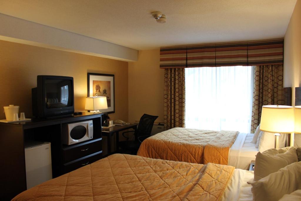 Comfort East Scarborough Toronto