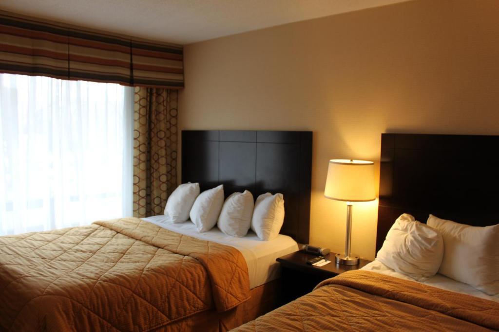Comfort East Scarborough Hotel