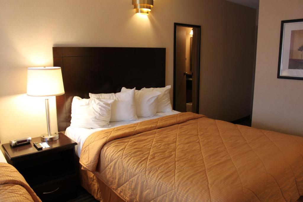 Hotel Comfort East Scarborough 3*