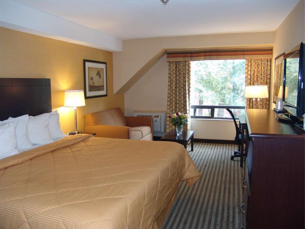 Hotel Comfort East Scarborough