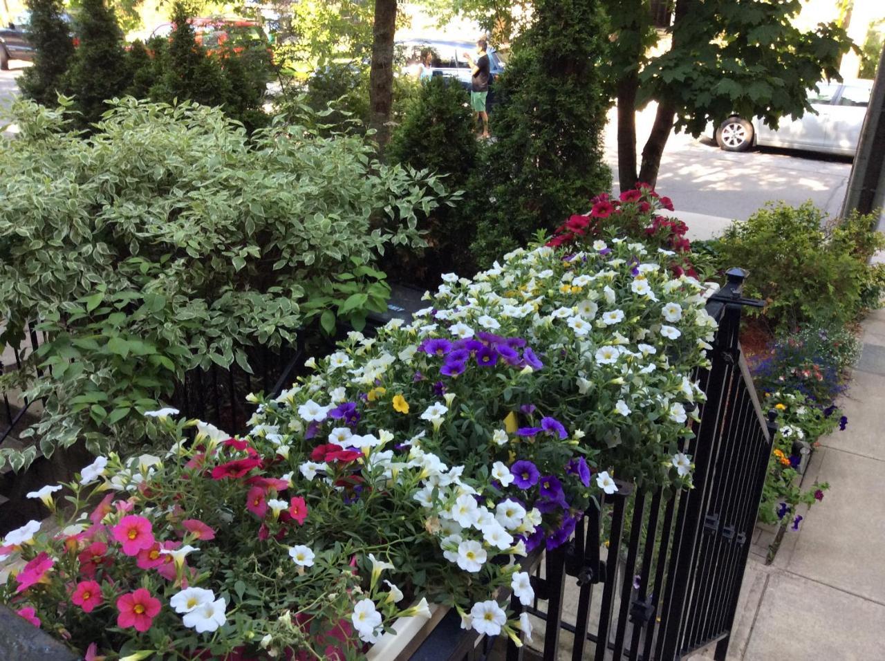 Bed & Breakfast Clinton And Bloor By Elevate