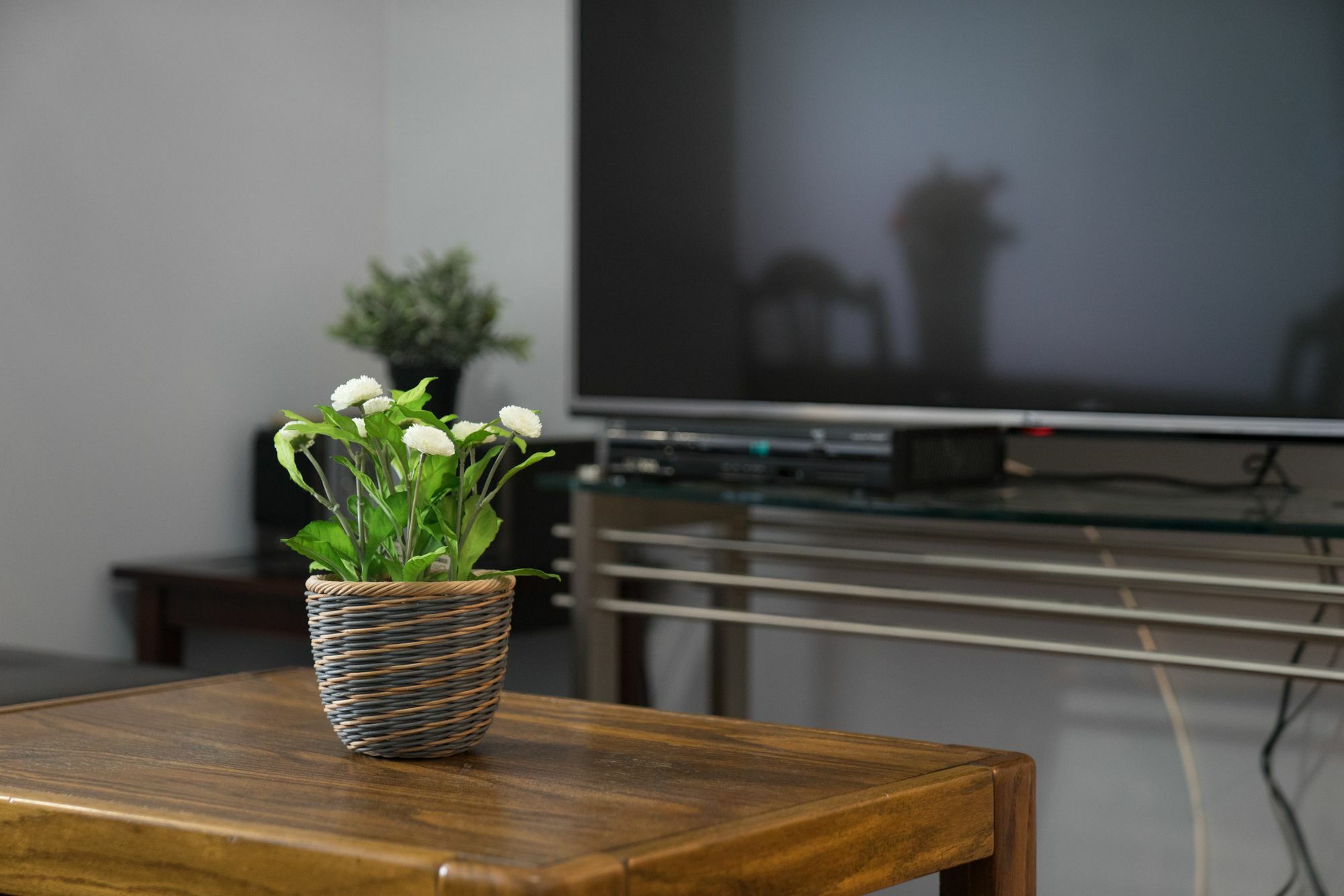 Applewood - King West Lofts Apartment Toronto