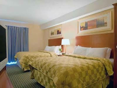 Comfort North 2*