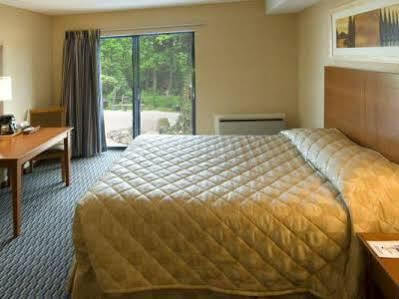 Comfort North Hotel Toronto