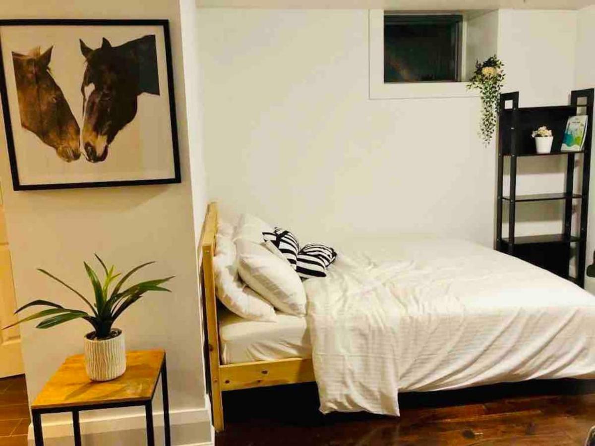 Apartment Spacious Bachelor - Parkdale Mansion *