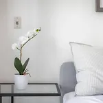 Lux 1 Br-Den Dwtn Condo Near Cn Tower With Parking
