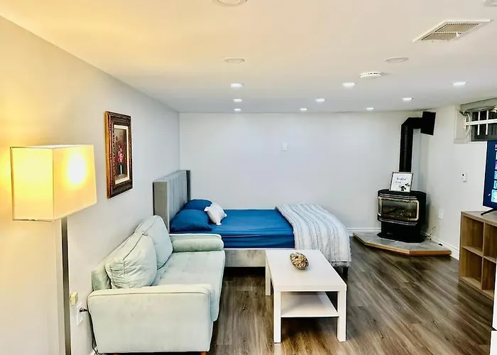 Cozy Studio Bsmt In Scarborough Central